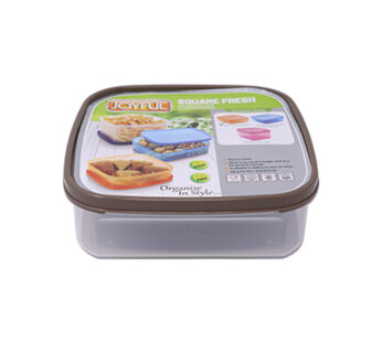 Joyful Square Fresh Small Box Container
