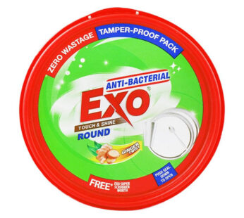 Exo Dish Wash Tub Ginger 250 GM