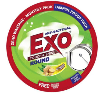 Exo Dish Wash Tub Ginger 500 GM